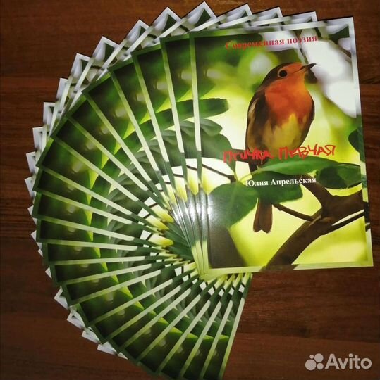 Авторский сборник стихов