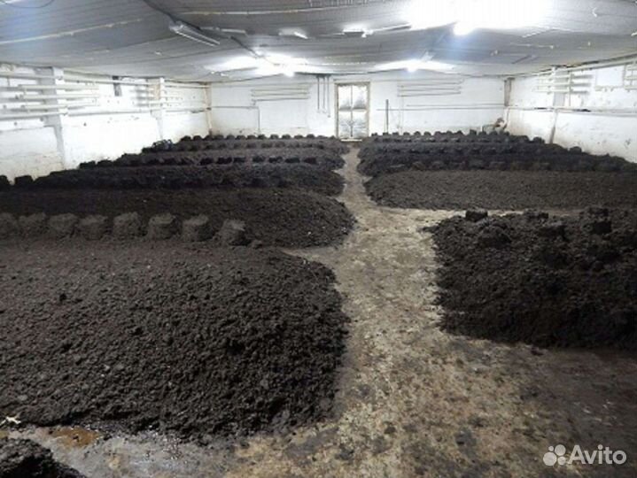 Черви для рыбалки