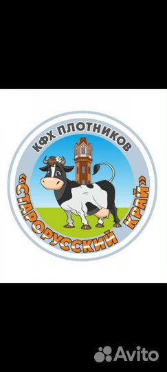 Инвестиции в действующий бизнес