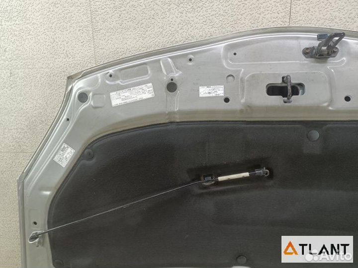 Капот toyota prius