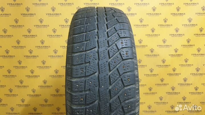 Brasa IceControl 225/60 R17 99T