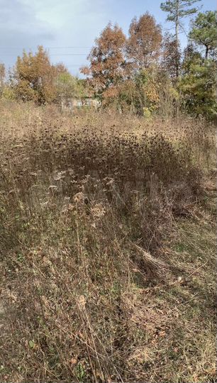 Участок 14,1 сот. (ИЖС)