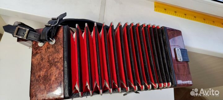 Гармонь Кубань