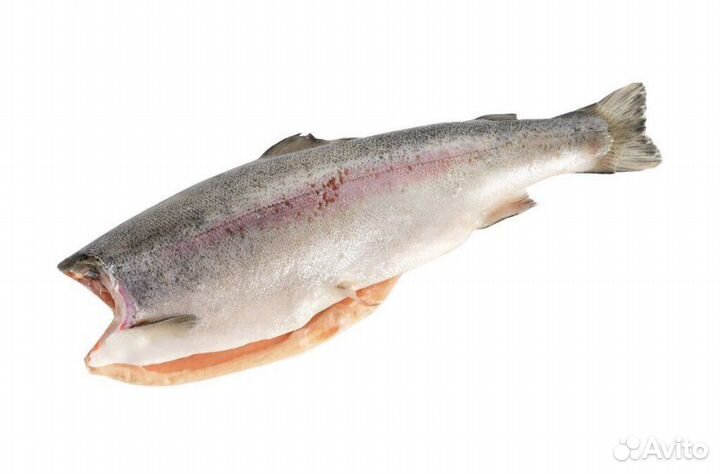 Морепродукты