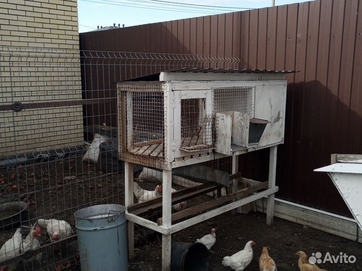 Клетка для кролика