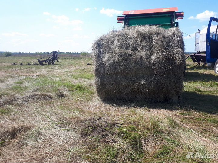 Сено в рулонах