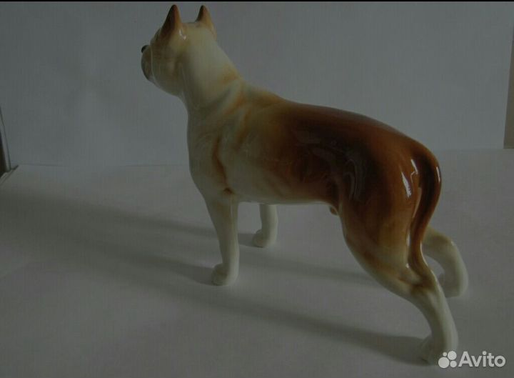 Стаффордширский бультерьер