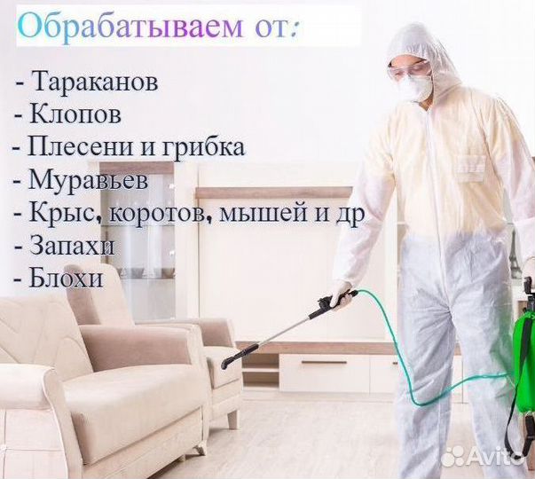 Уничтожение тараканов клопов плесени дезинфекция