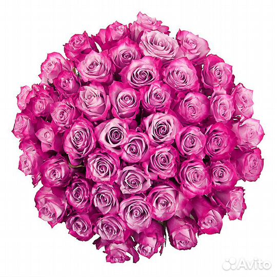 Букет из 51 розы Натали 50 см