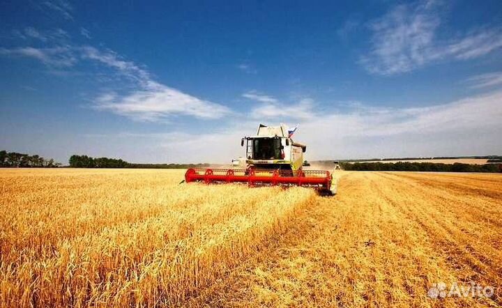 Сельхоз предприятие 