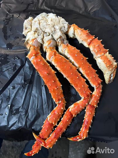 Клешни камчатского краба. Крупные