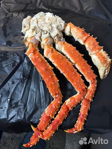 Клешни камчатского краба. Крупные