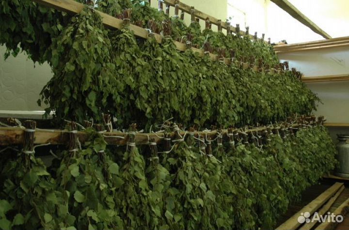 Веники для бани берёзовые дубовые пихтовые 2023