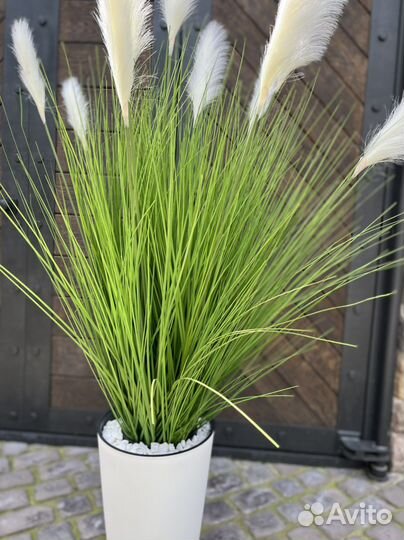 Осока искуственная