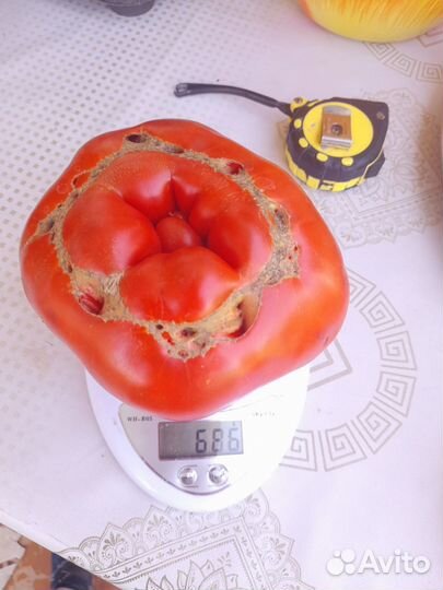 Помидоры