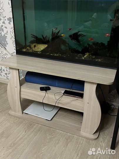 Аквариум с рыбками