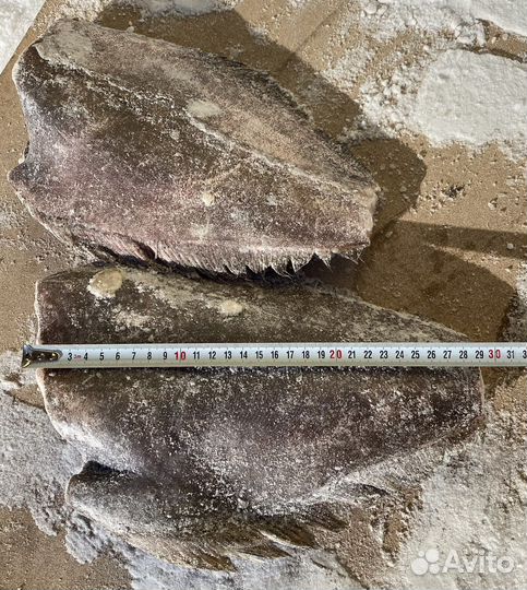 Палтус с/м синекорый 1-2