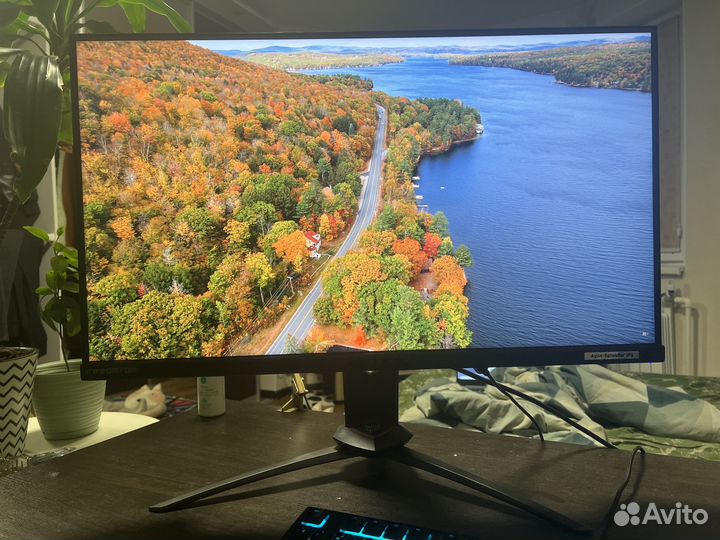 Монитор 4k Acer Predator