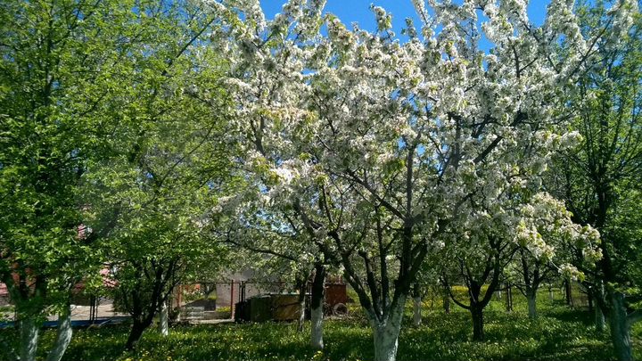 Дом 361 м² на участке 22 сот.