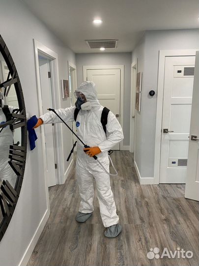 Уничтожение тараканов клопов клещей