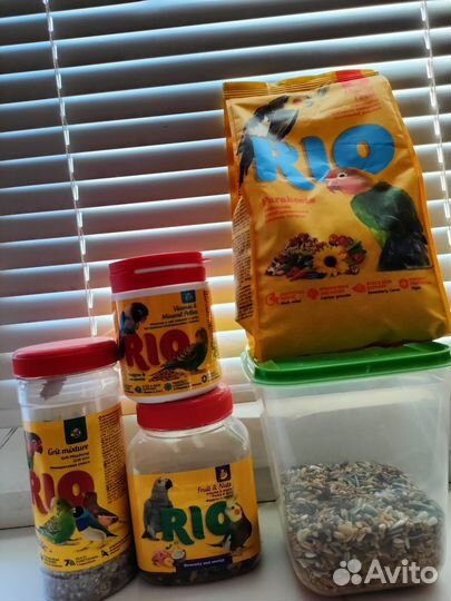 Попугай с клеткой