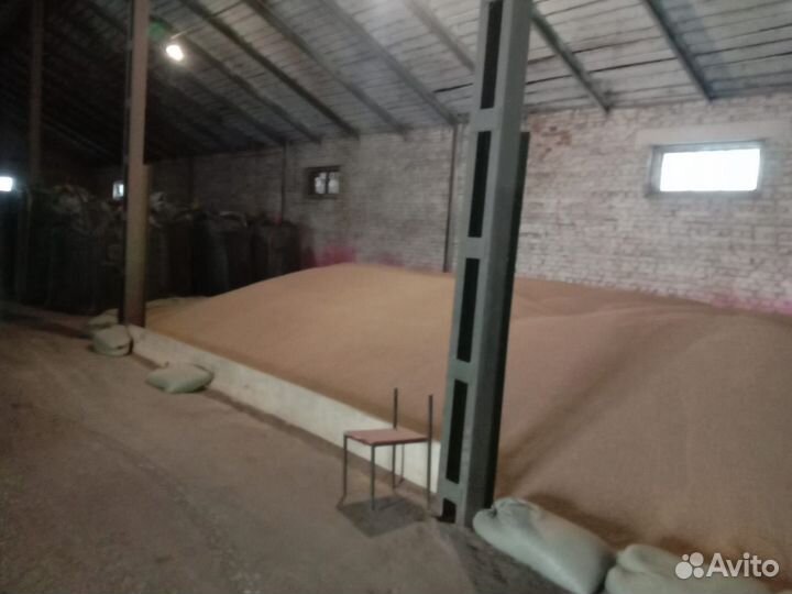 Продам зерно