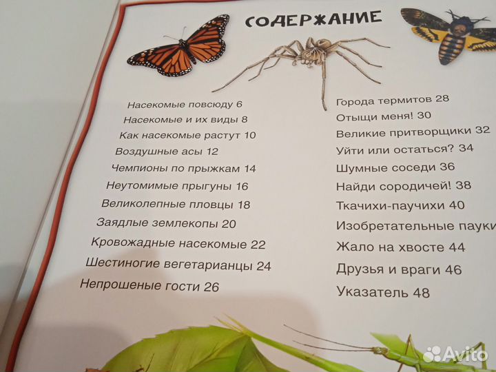 Энциклопедия для детей про насекомых