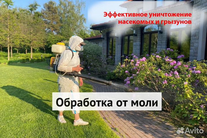 Уничтожение клопов тараканов лечение растений
