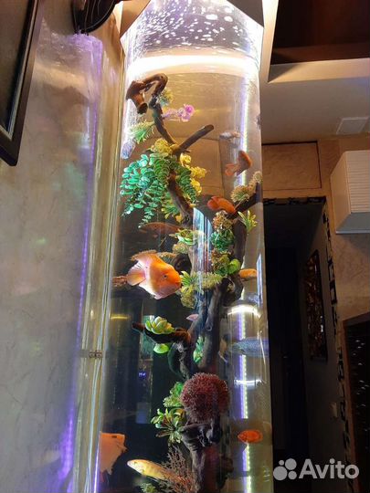 Корм цихлид Tetra Cichlid Sticks