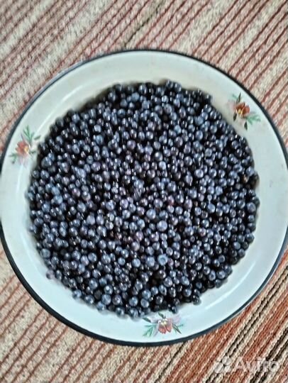 Черника свежая