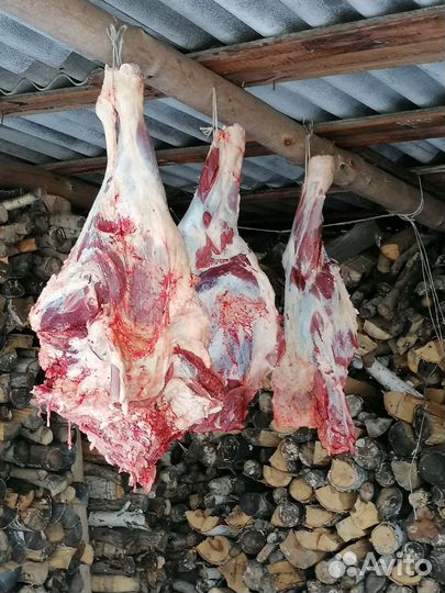 Мясо говядина с деревни