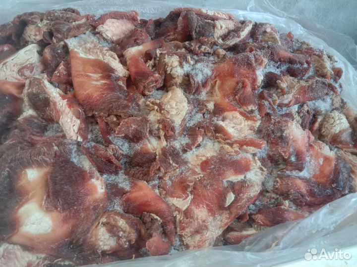 Мясо для собак