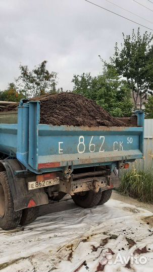 Почва для голубики садовой, перегной, торф, навоз