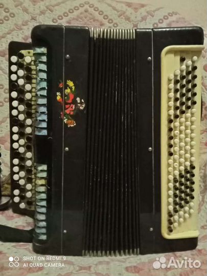 Баян Тульский