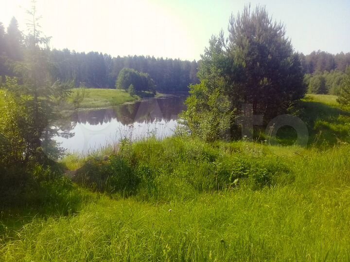 Участок 15 га (СНТ, ДНП)