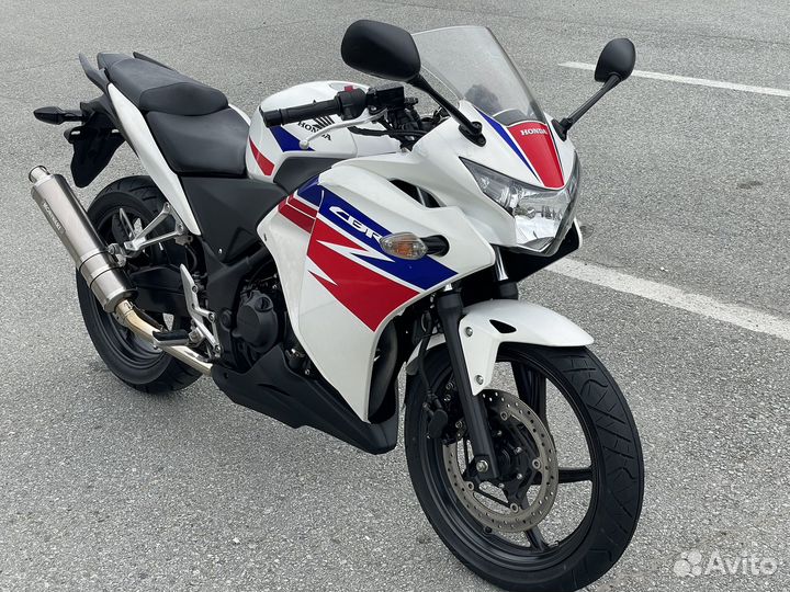 Honda cbr250r