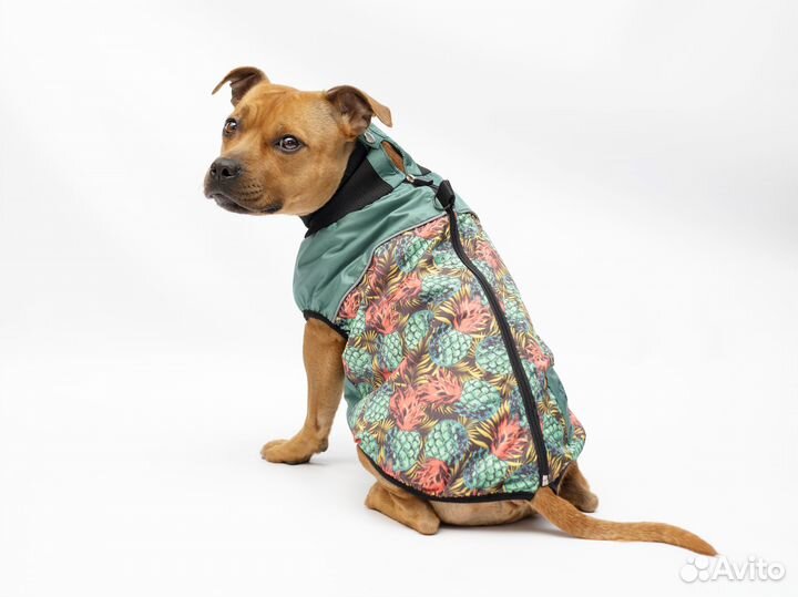 Жилетка для собак