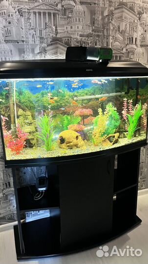 Аквариум с тумбой 180 литров