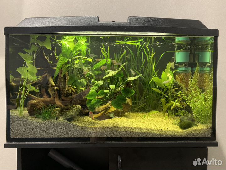 Аквариум с тумбой и всем содержимым 100л