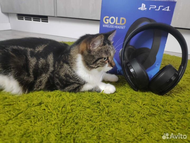 Беспроводные наушники ps4 gold wireless headset