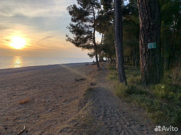 Трансфер Абхазия