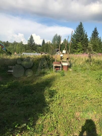 Участок 9,8 сот. (СНТ, ДНП)