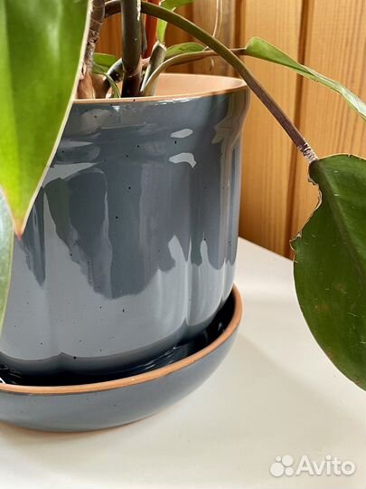 Набор горшков