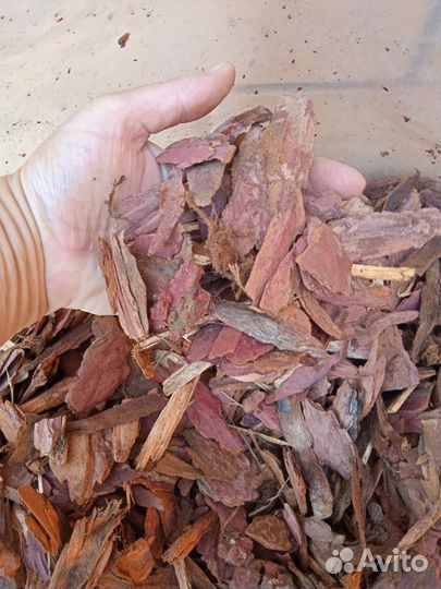 Кора лиственницы