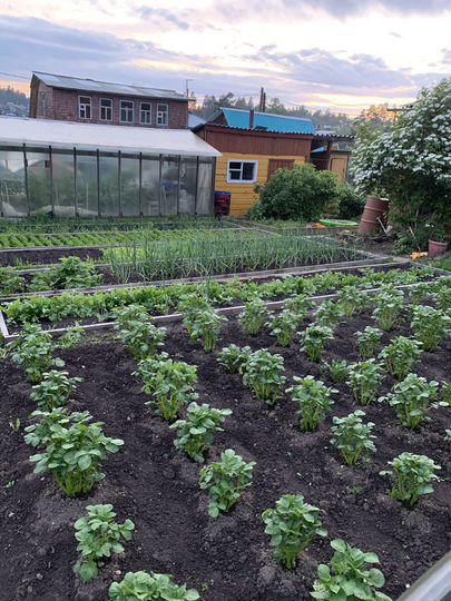 Дача 50 м² на участке 5 сот.