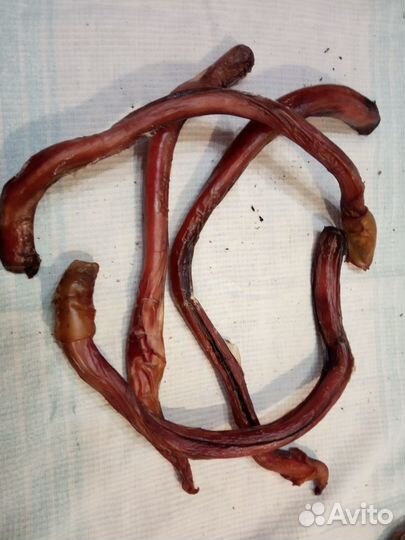 Лакомство для собак сушеное говяж. легкое и печень