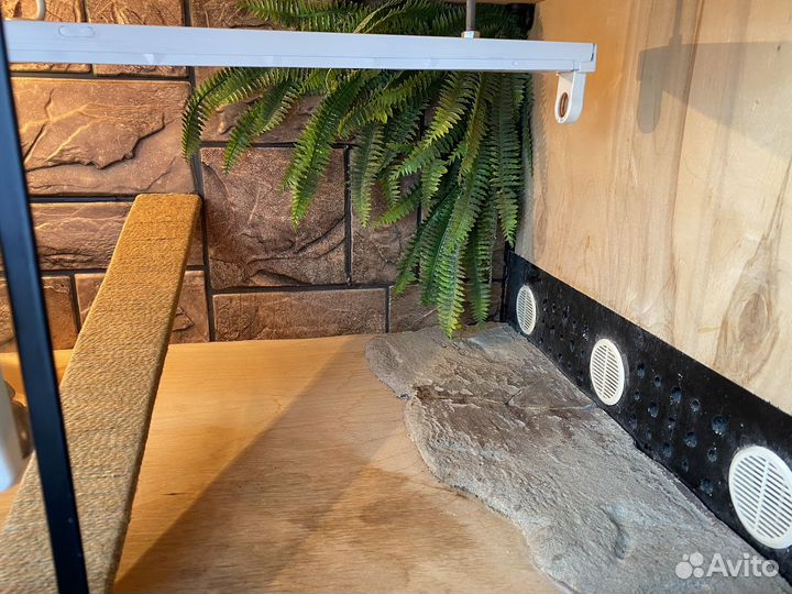 Террариум для рептилий