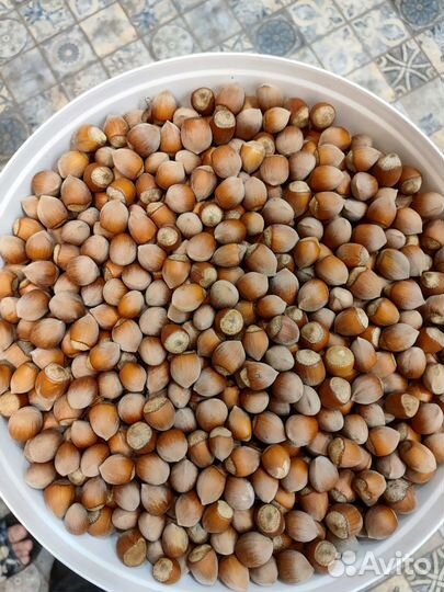 Орех фундук