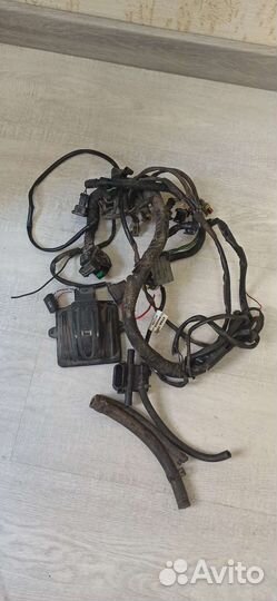 Гбо 4 поколения digitronic