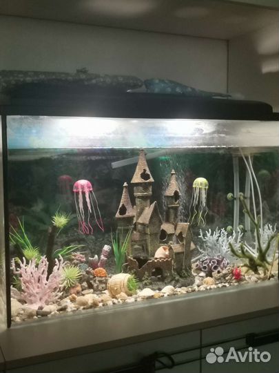 Аквариум